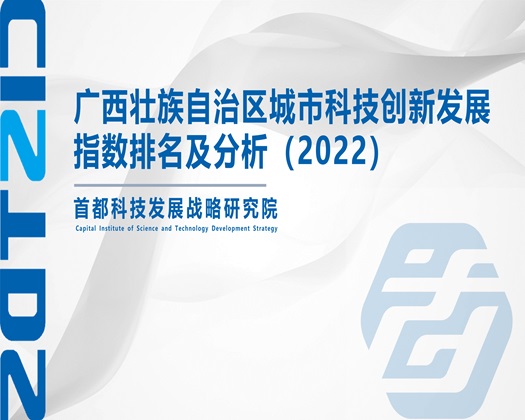 大鸡巴草死你小骚逼网站【成果发布】广西壮族自治区城市科技创新发展指数排名及分析（2022）